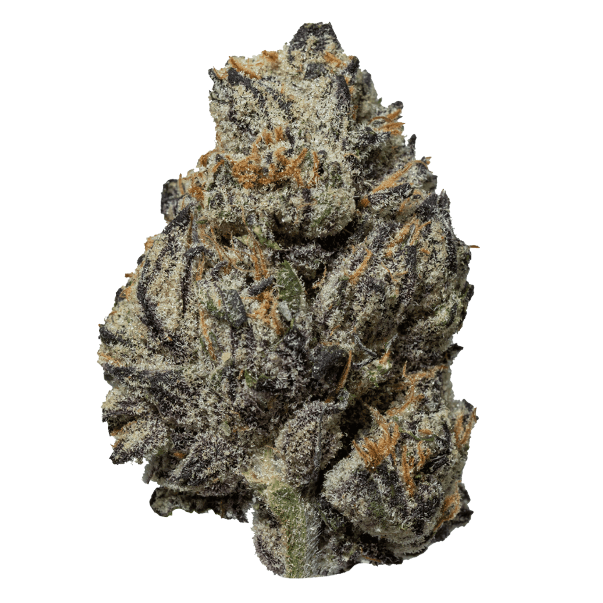 DubZotics Black Truffle THC-A Flower