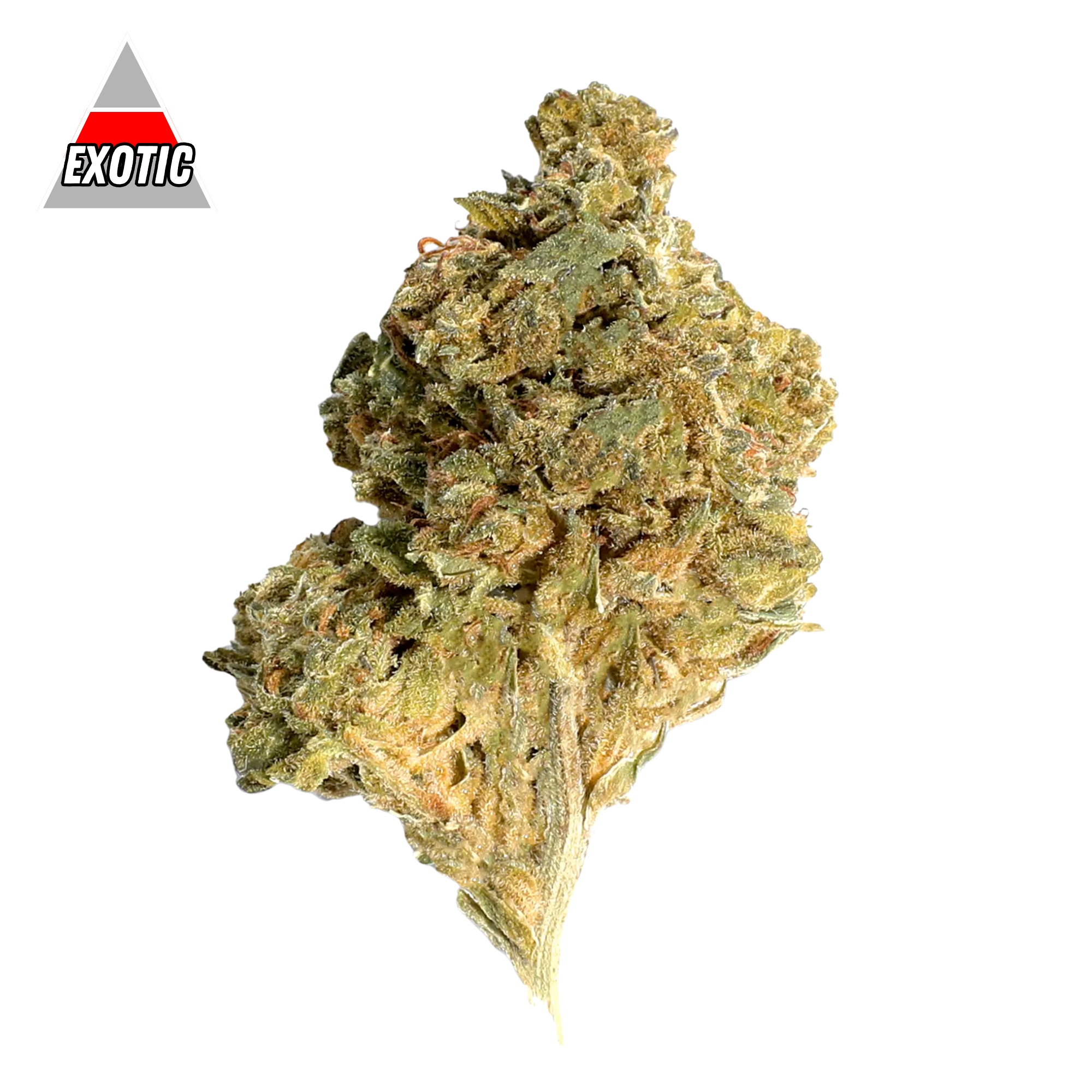 DubZotics Glitter Bomb THC-A Flower