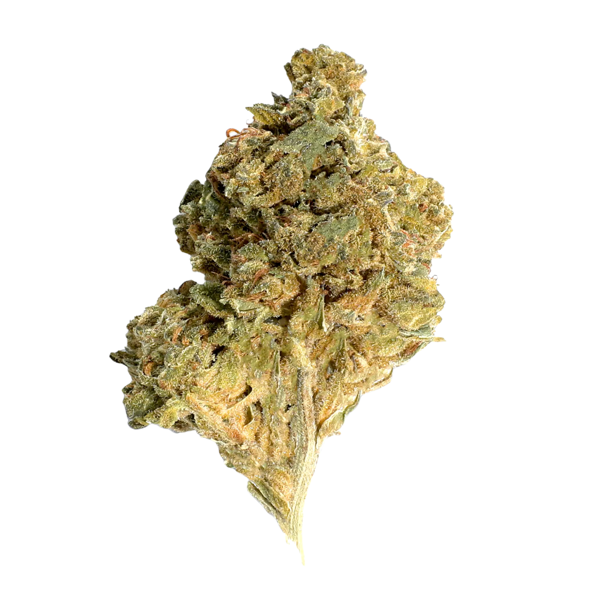 DubZotics Glitter Bomb THC-A Flower