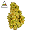 DubZotics Kush Mintz THC-A Flower