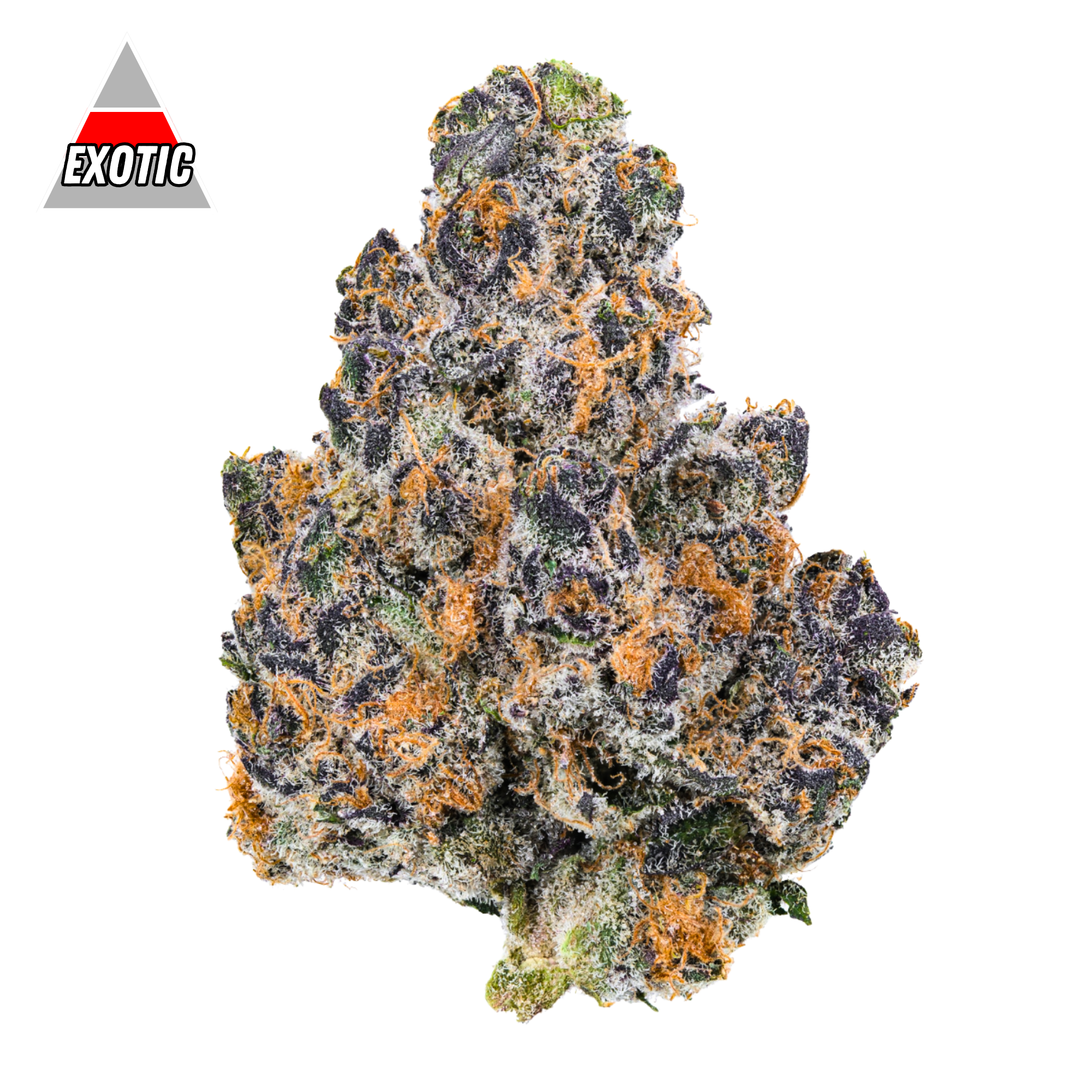 DubZotics Purple Truffle THC-A Flower