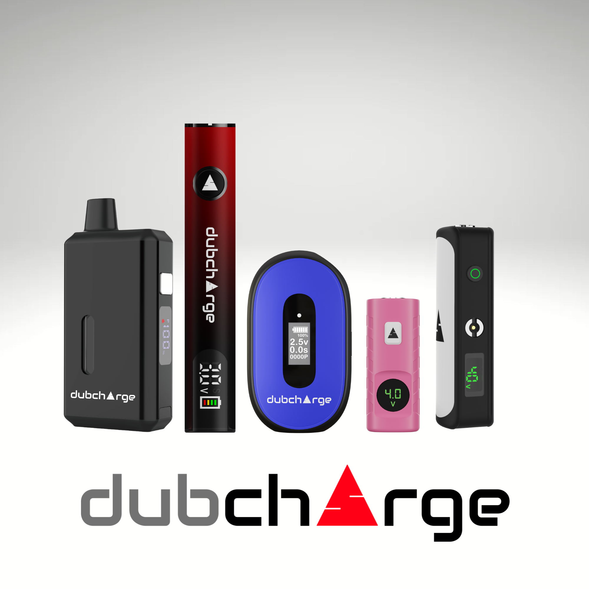 Which DubCharge battery is best for you?