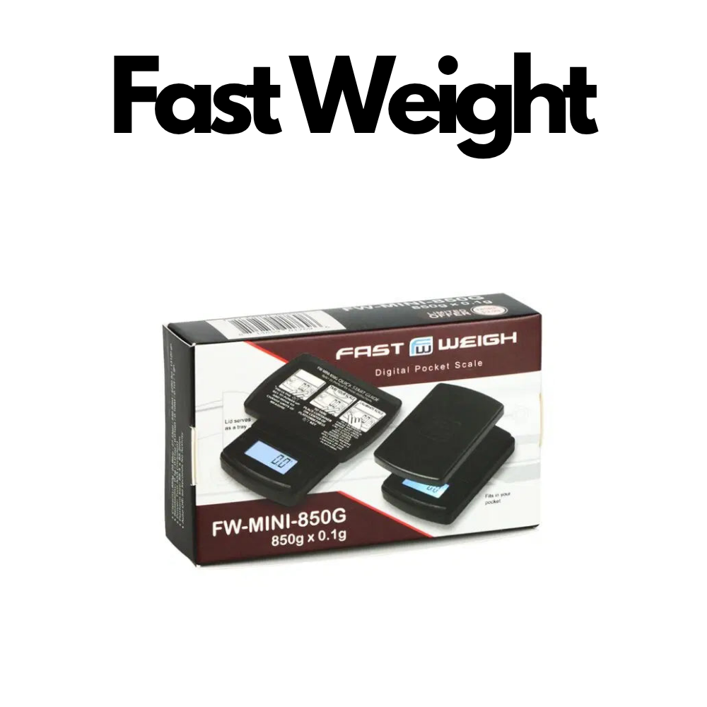 Fast Weight