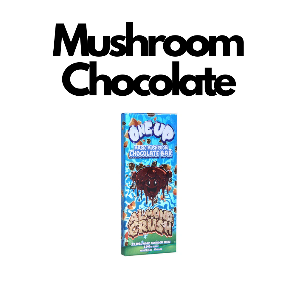 Mushroom Chocolate