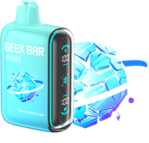 GEEK BAR PULSE 15000 DISPOSABLE