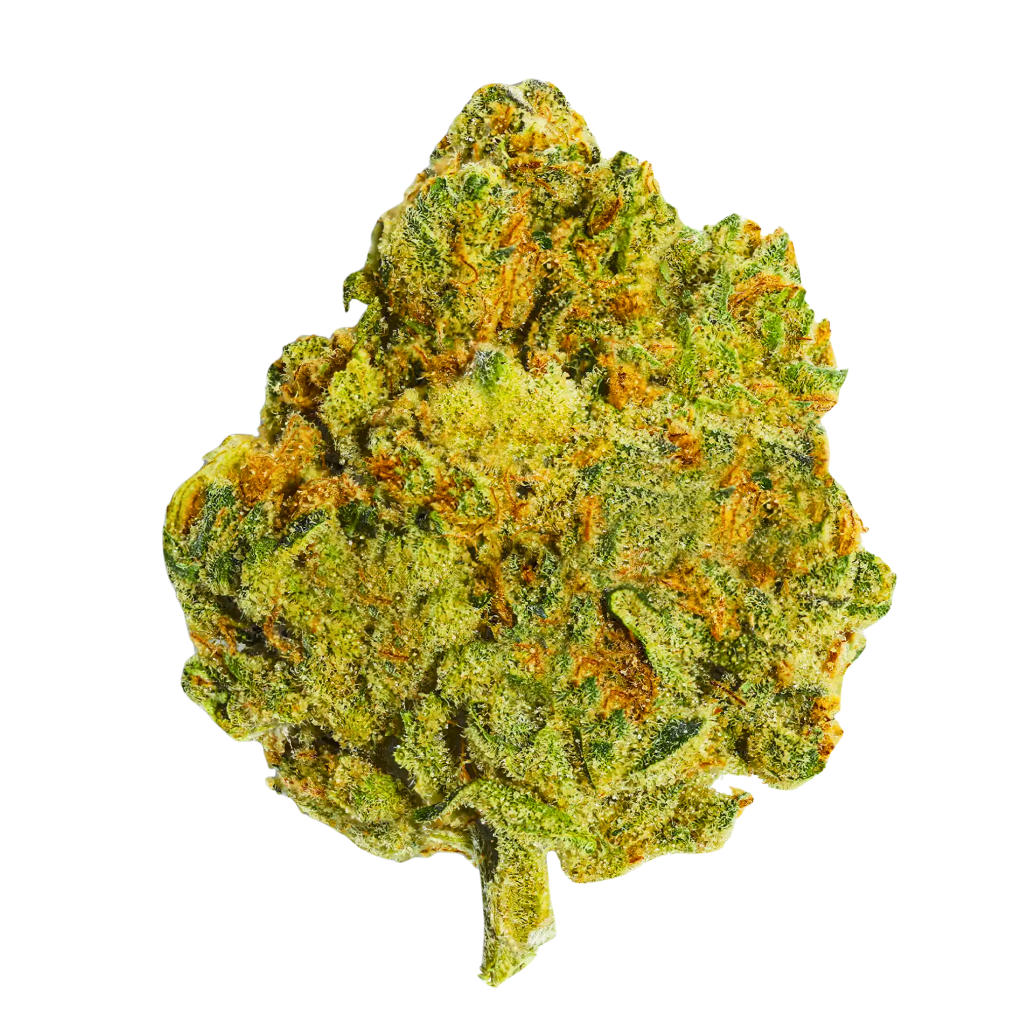 DubZotics Honey Banana THC-A Flower