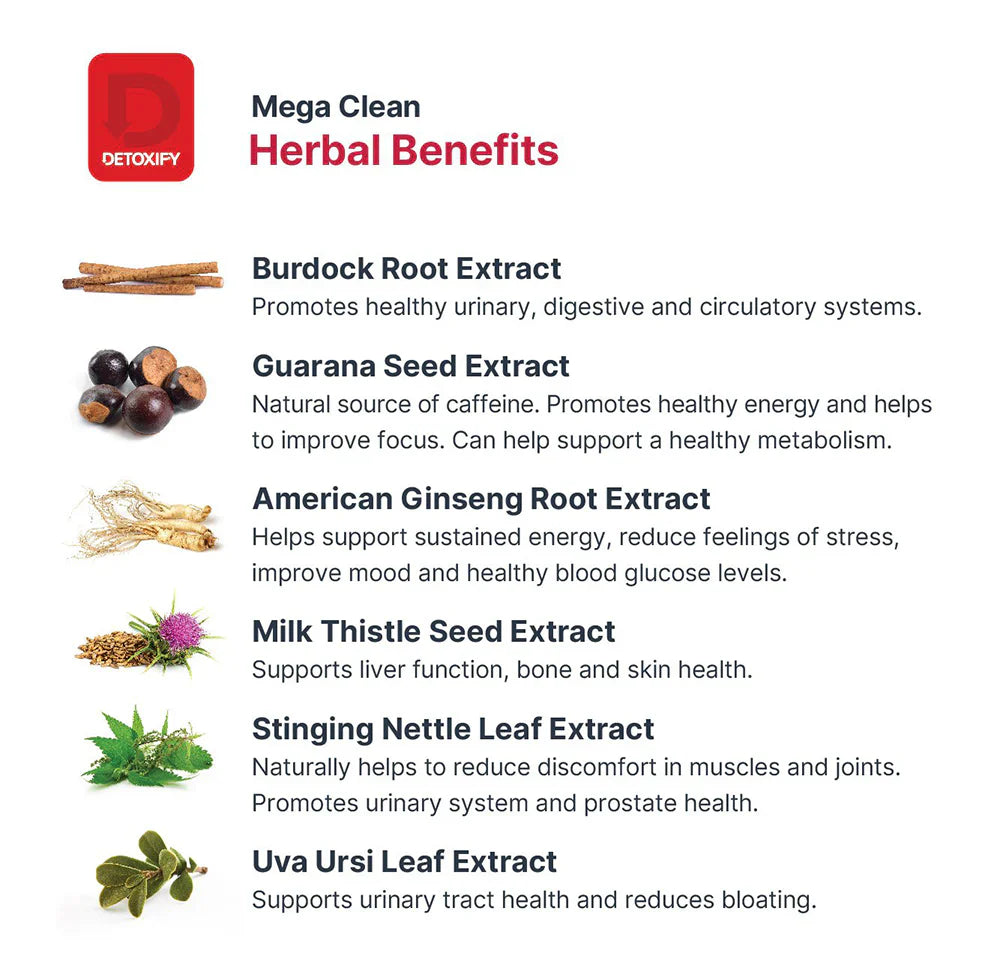 Detoxify Mega Clean Herbal Cleanse - Tropical Fruit