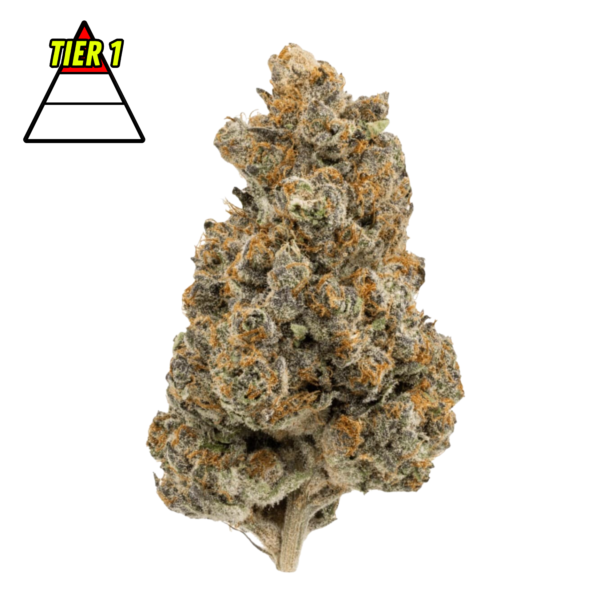 DubZotics RS 11 THC-A Flower