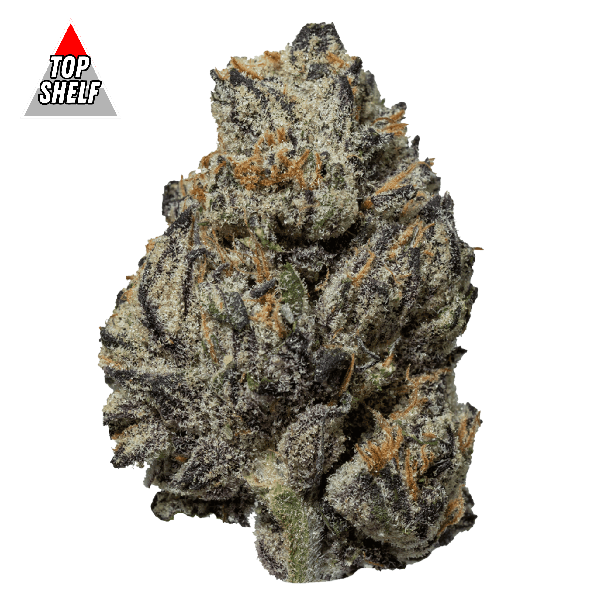 DubZotics Black Truffle THC-A Flower