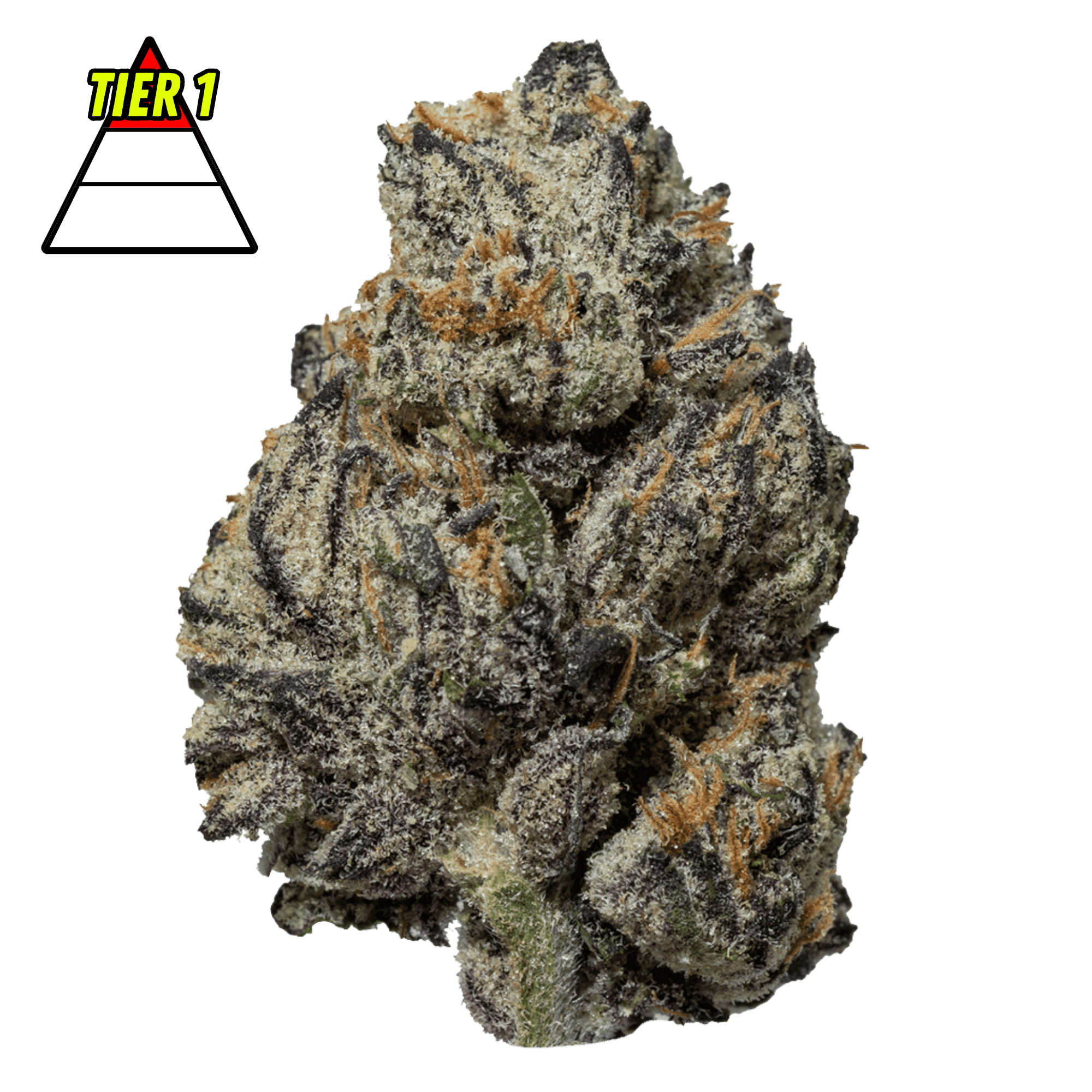 DubZotics Black Truffle THC-A Flower