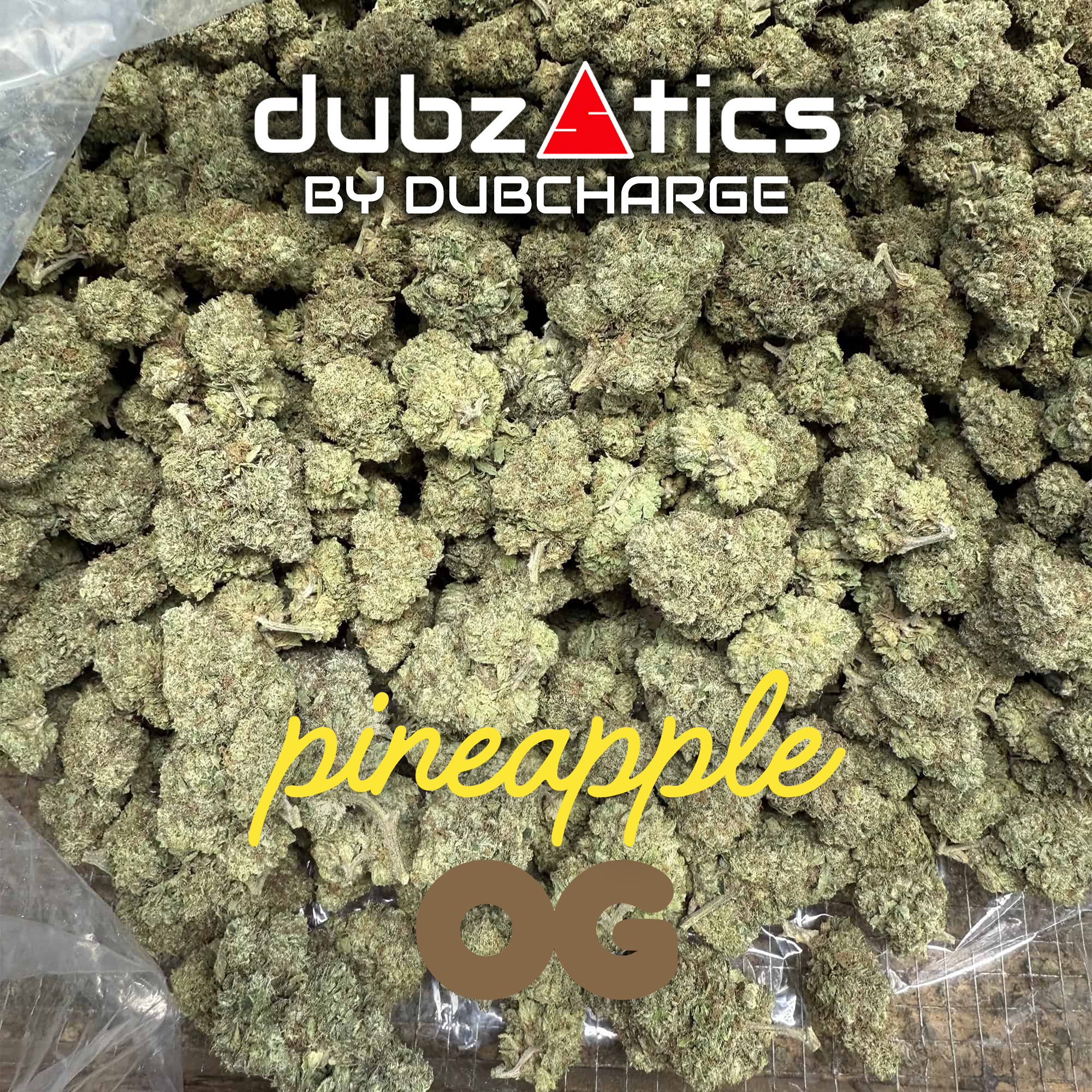 DubZotics Indoor Exotics THC-A Flower