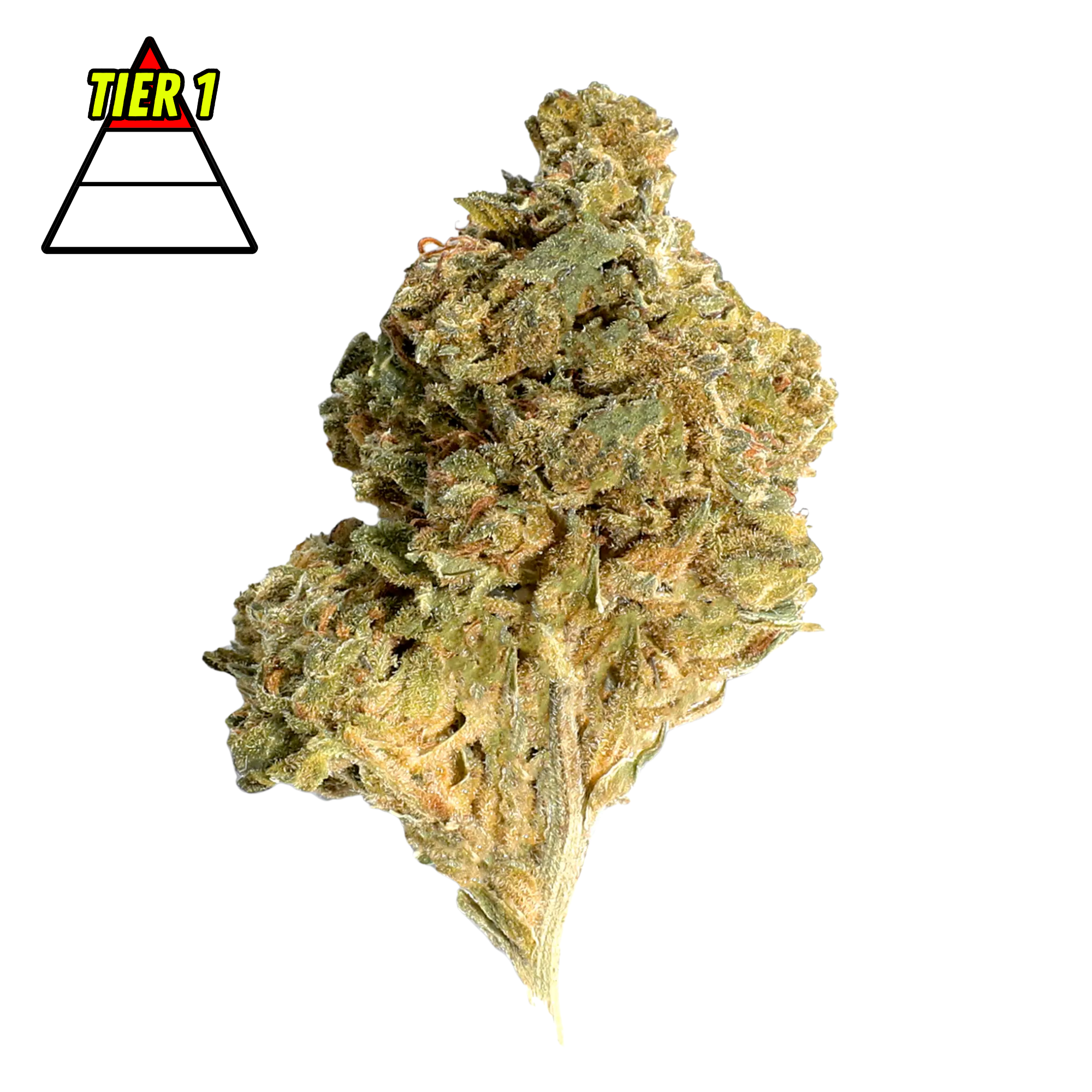 DubZotics Glitter Bomb THC-A Flower