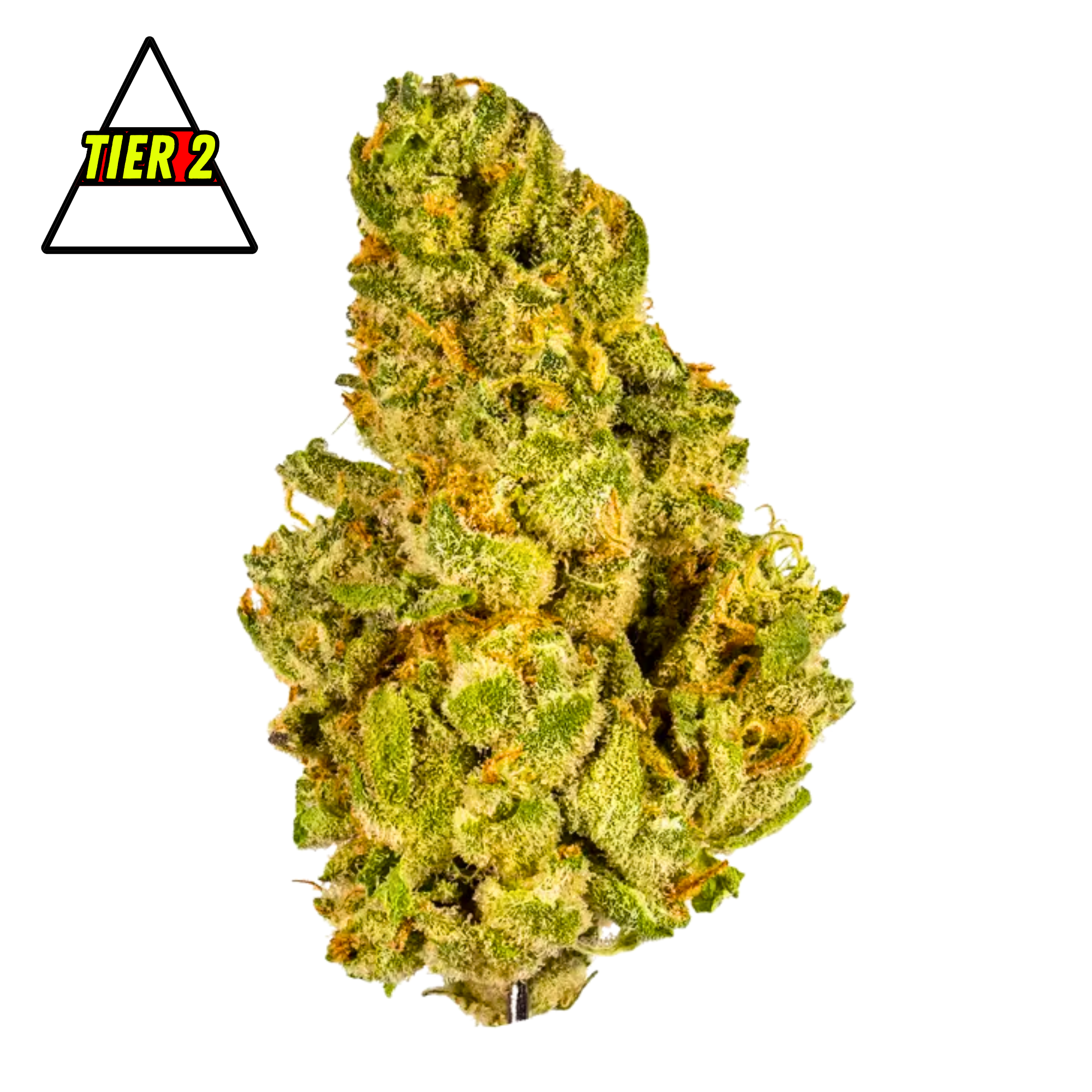 DubZotics Kush Mintz THC-A Flower